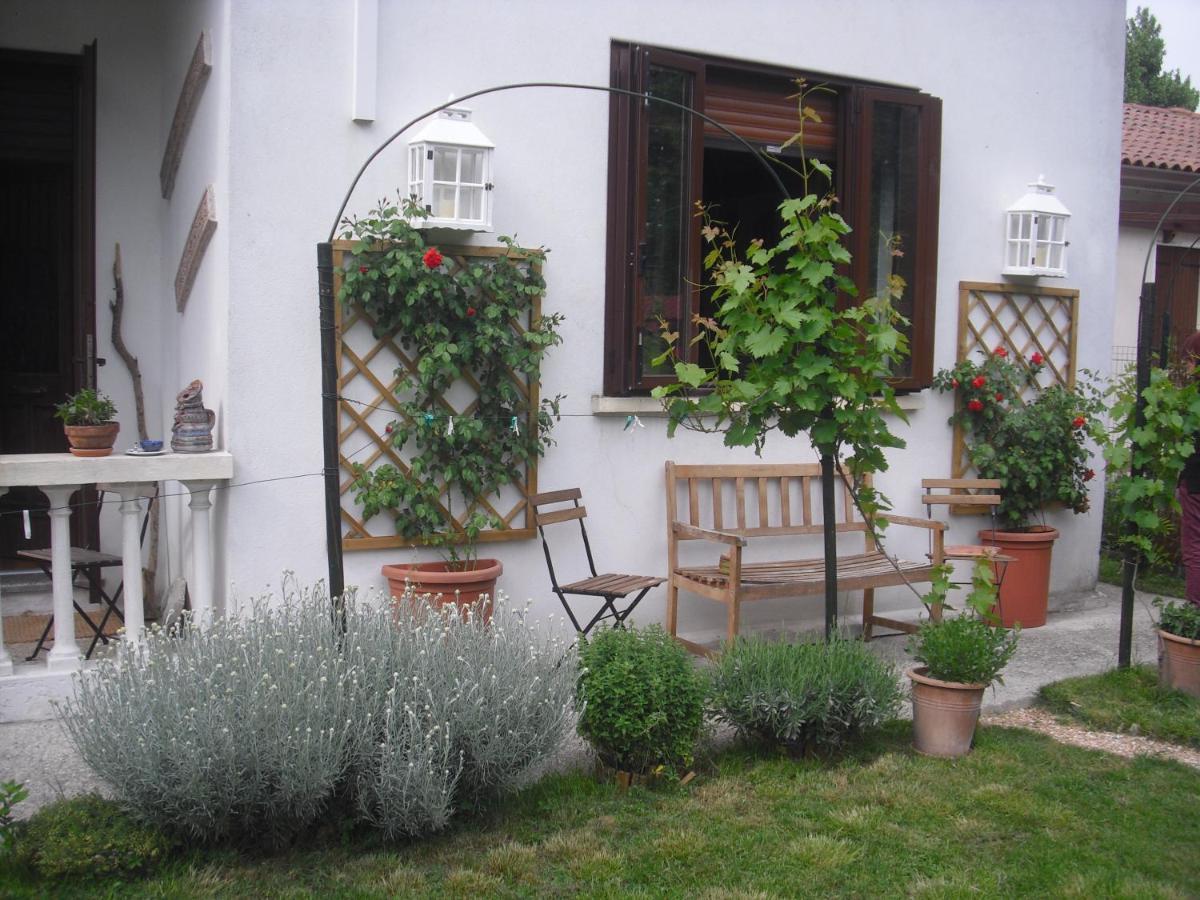 Bed and Breakfast Ca' Delle Arti Ориаго-ди-Мира Экстерьер фото